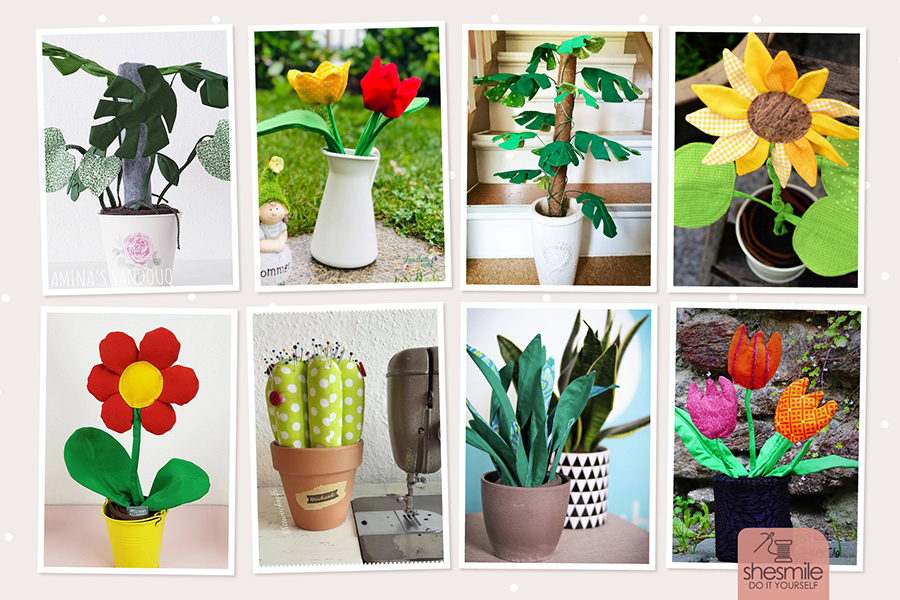 zimmerpflanze frieda flower shesmile kunden