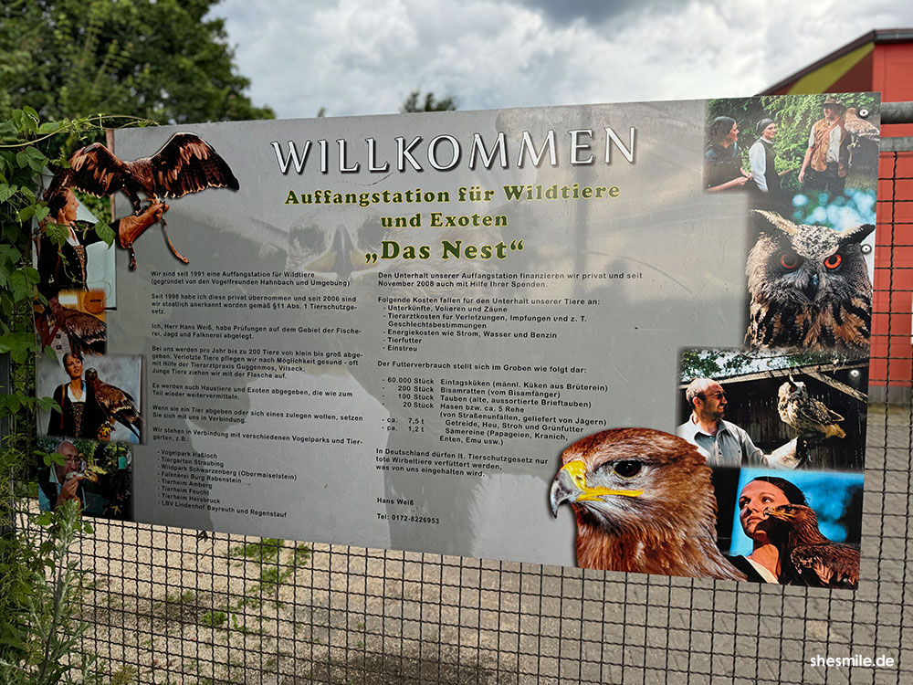 2024 0706 tierauffangstation nest kuemmersbuch shesmile erlebnisse 151753