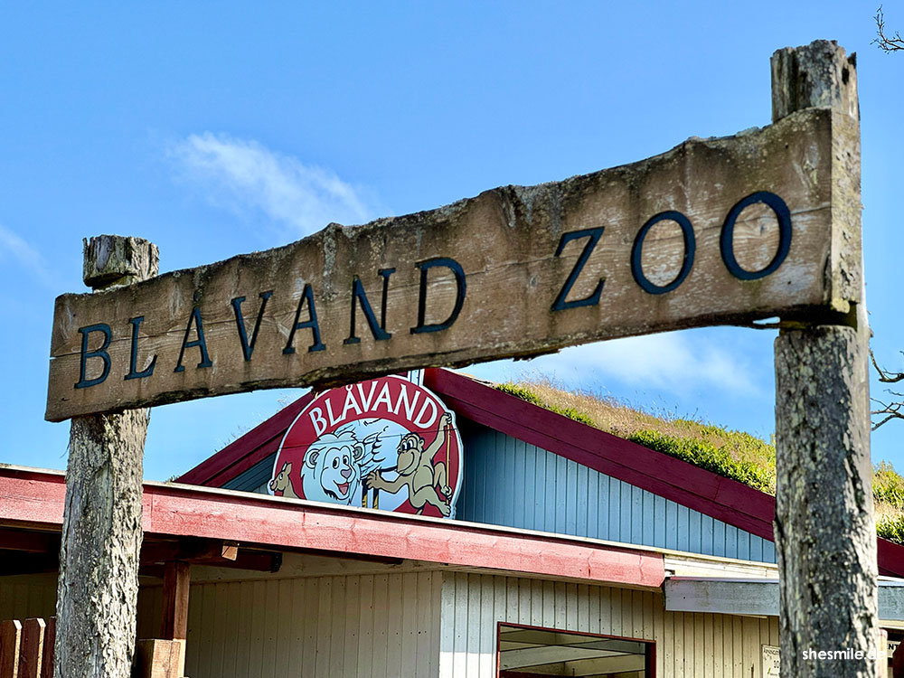 2024 0809 daenemark blavand 161204