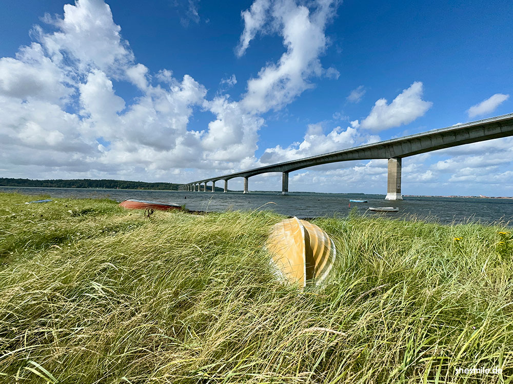 2024 0810 daenemark sondervig klitmoller 150310