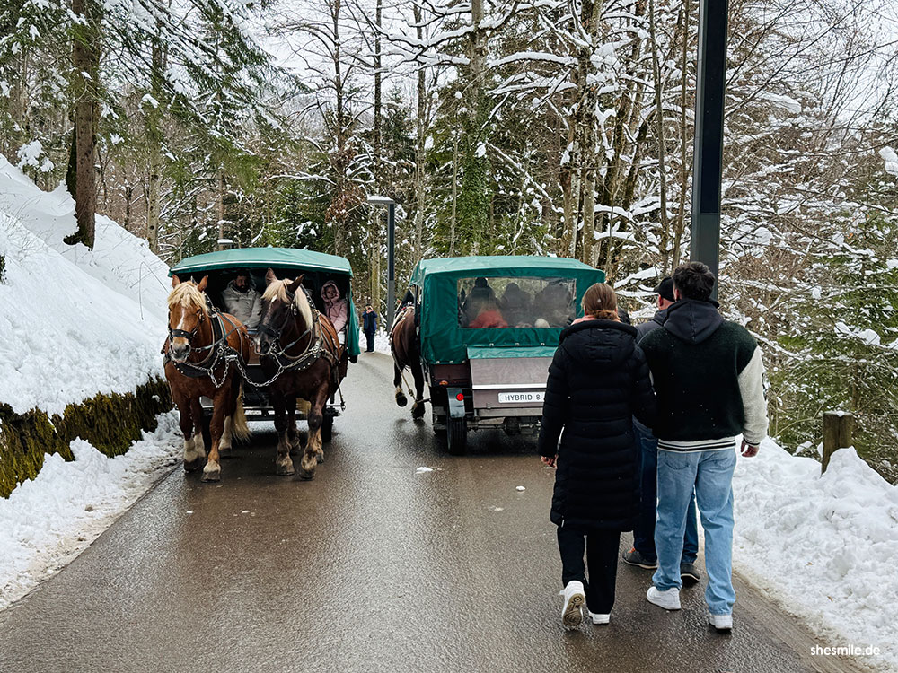2026 0330 aja garmisch partenkirchen shesmile erlebnisse 112235