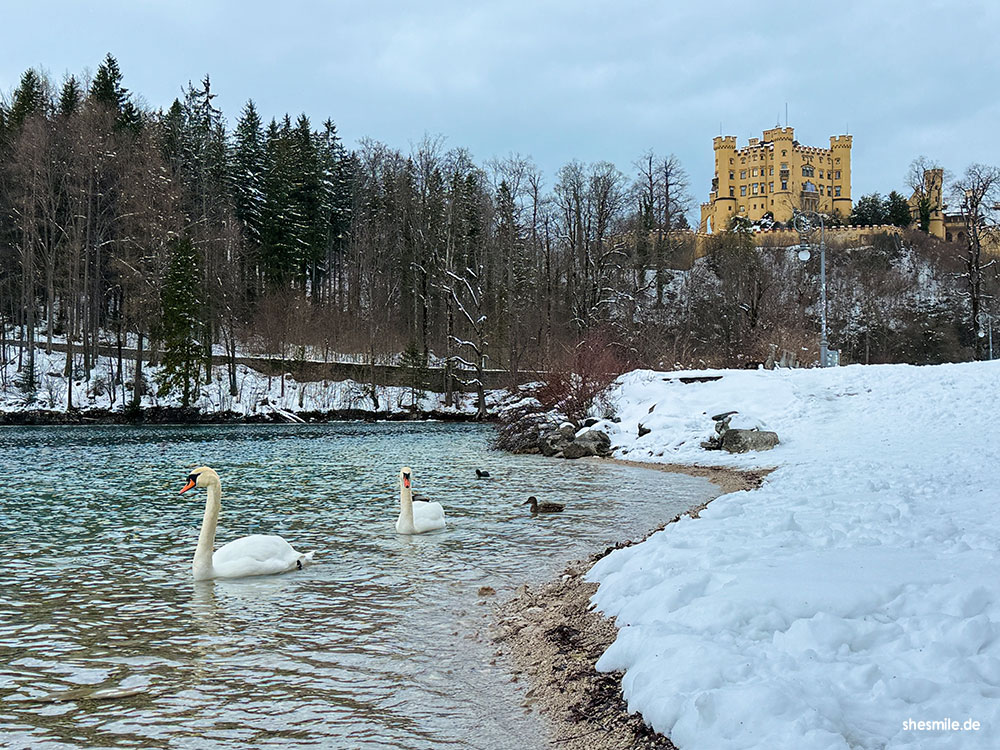 2026 0330 aja garmisch partenkirchen shesmile erlebnisse 115859