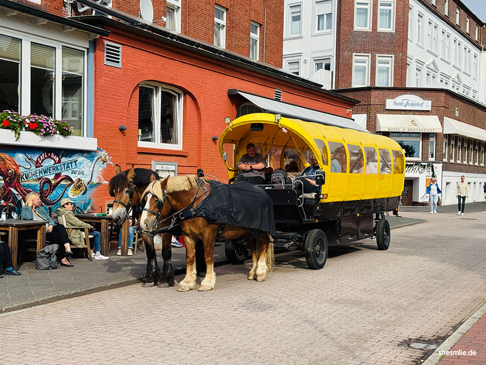 2025 0910 juist kalfamer shesmile erlebnisse 161824