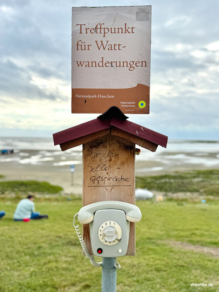 2025 0903 shesmile erlebnisse juist wattwanderung silverettes 171000