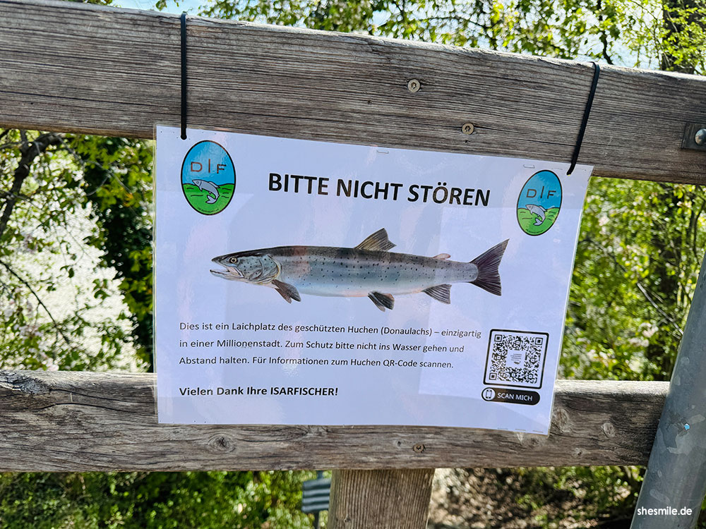 2025 0420 muenchen shesmile erlebnisse 104700