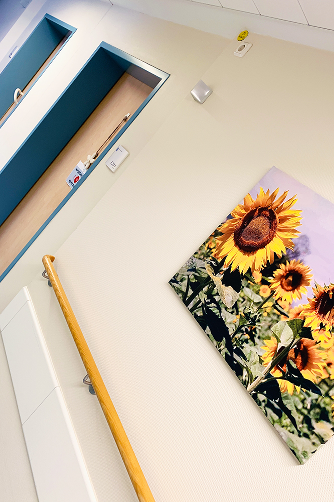 Zimmer 237 auf der Station E2. Das Zimmer neben den Sonnenblumen. So hab ich mir zumindest die Tür gemerkt. Zu diesem Zeitpunkt war ich so viel durchs Haus gelaufen, dass ich irgendwann gar nicht mehr wusste wo genau ich eigentlich war. Teeküche dort, Schwesternzimmer da, Aufzug hier hinten... alles klar!