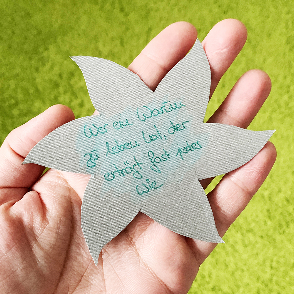 Von Übelkeit, Blutarmut und einem schrumpfenden Tumor! Die Chemo wirkt! Mit allen Höhen und Tiefen! Brustkrebs-Tagebuch von Elisabeth Steger, shesmile.