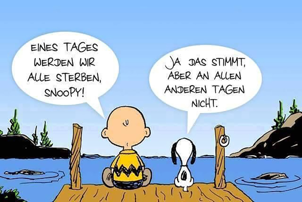 Eines Tages werden wir alle sterben, Snoopy! Ja, das stimmt, aber an alen anderen Tagen nicht!