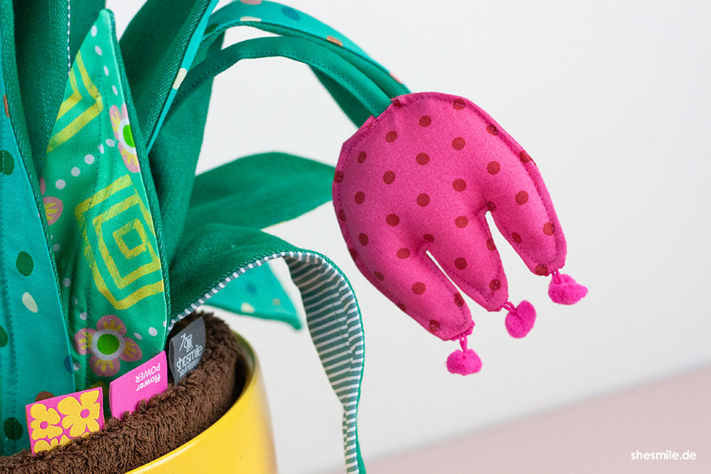 zimmerpflanze frieda flower haengepflanze shesmile diy 075