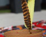 Indianerschmuck, Kopfschmuck für Kinder und Erwachsene - Nach einem Tutorial von Ministöffchen - genäht von shesmile 