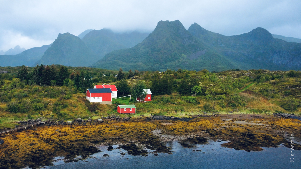 Manchmal fühlte sich alles sehr unwirklich an. Ich war eine Reisebloggerin auf den Lofoten ... wenn mir das jemand ein Jahr vorher erzählt hätte, ich hätte ihn ausgelacht. ❤