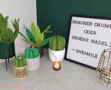 Nähanleitung und Schnittmuster gestaltet als PDF-E-Book für Frieda Kaktus. Die Zimmerpflanzen aus Stoff als Nadelkissen und Stoffbeschwerer für das Nähzimmer, für Allergiker, das Kinderzimmer, Vielreisende, kranke und alte Menschen, schattige Plätzch