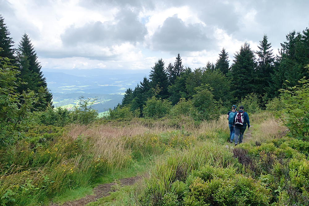 Einfach mal raus aus dem (Chemo-) Alltag! Mein Erlebnisbericht zum Mädelswochenende 2021 mit Wandern und Entspannen im Bayerischen Wald, Posthotel Rattenberg!