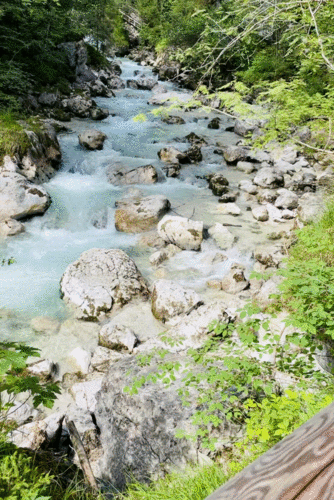 Wandern, Entdecken, Boot fahren, Natur genießen! Spaziergang am Hintersee mit Wanderung durch den Zauberwald. Reisetagebuch Berchtesgaden mit shesmile Erlebnisse.