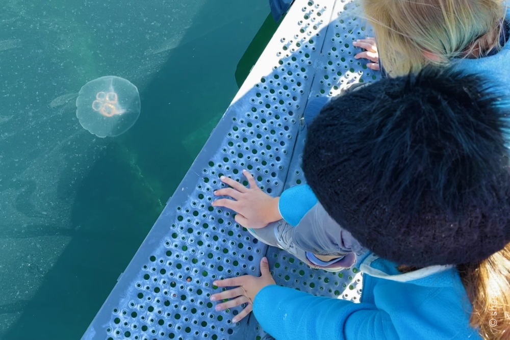 Mit dem Fähre Schiff von Gryllefjord nach Andenes. Ein Sommertag am Bleik Strand auf Andøya in Norwegen. Reisetagebuch mit Kindern von shesmile Erlebnisse.