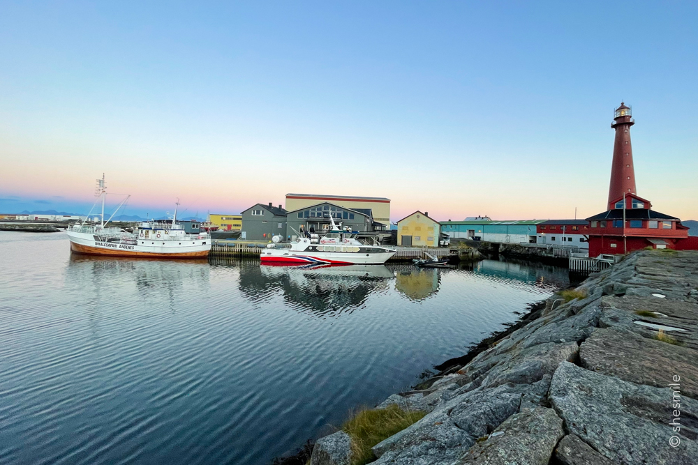Und darum war die Kleine gleich nach dem Abendessen in der Wohnung im Bett und eingeschlafen. Die Große und ich haben noch einen Spaziergang zum Hafen gemacht. Dort haben wir auch das Schiff der „Whalesafari Andenes“ anlegen sehen.