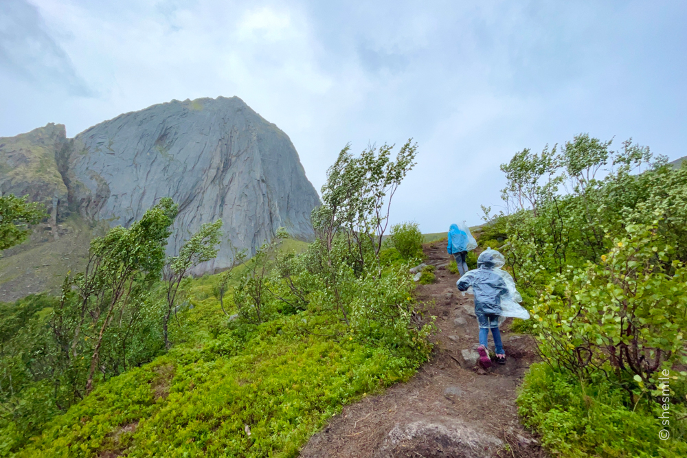 Mit der Fähre von Brensholmen nach Botnham. Wanderung mit Kinder auf den Hesten unter extremen Bedingungen. Senja in Norwegen. shesmile Erlebnisse Reisetagebuch