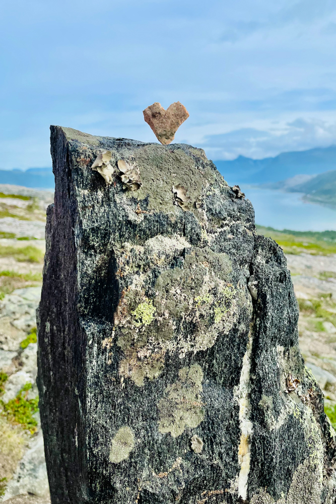 Eine Wanderung für die ganze Familie mit mega Panorama! Ørnfløya - Wandern mit Kindern bei Sommarøy in Norwegen. Ein Erlebnisbericht im shesmile Reisetagebuch.