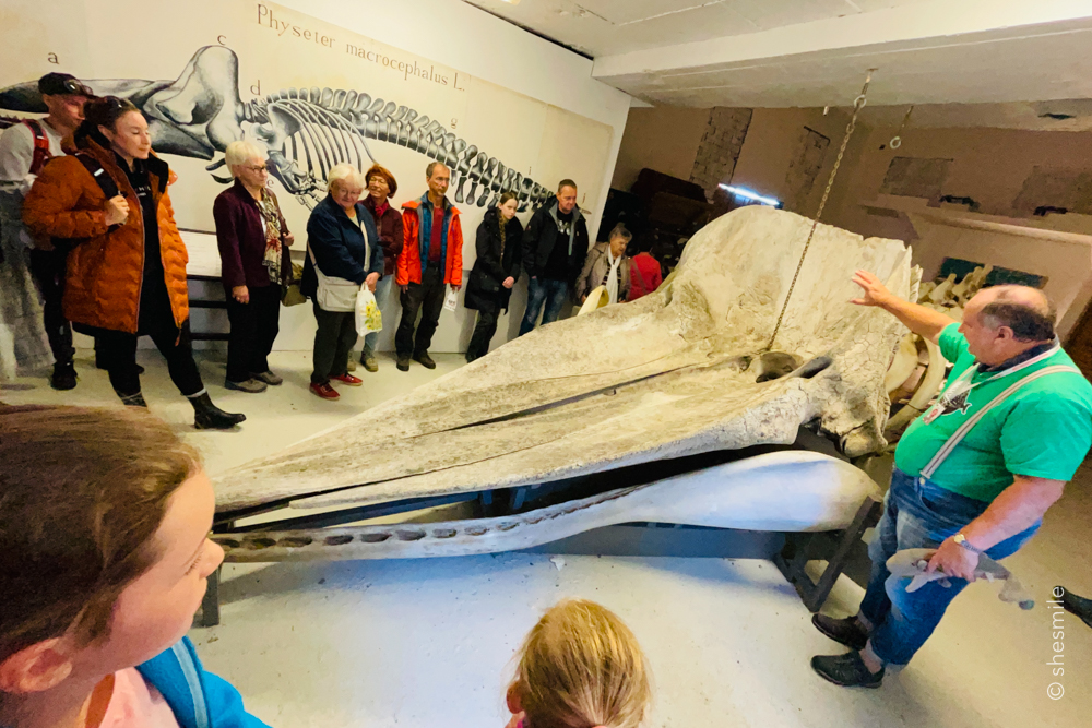 Kurz darauf ging dann auch schon eine 45 minütige Infotour durch die Hallen der Whale Safari los. Man bekommt einiges zu sehen (z.B. ein Pottwal-Skelett in Lebensgröße) und auch zu hören (die Klicklaute der Pottwale beim Tauchgang). Auch über den Lebensraum der verschiednen Walarten welche im Nordmeer vor Andenes leben wird einiges erklärt.