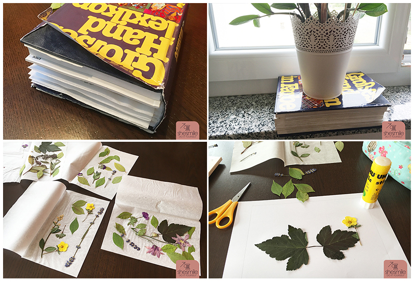 Egal ob Frühling, Sommer, Herbst und Winter. Bilder aus Blättern und Ästen kann man zu jeder Jahreszeit mit Kindern basteln und kleben. Blättertiere basteln (Eine Kostenlose DIY-Anleitung von shesmile)