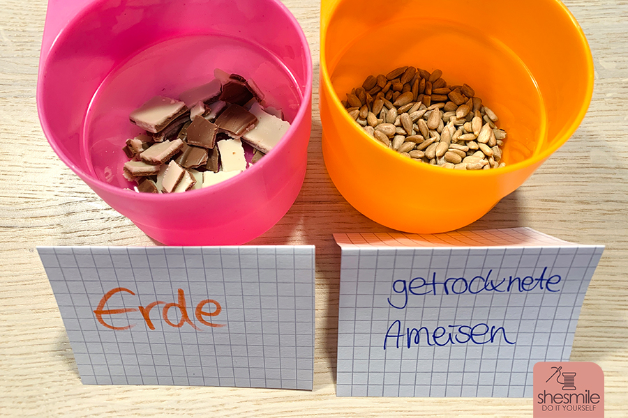 Lustige Blindverkostung für Kinder. Auf die Sinne fertig los! Ein Geschmacksunterricht für den Kindergeburtstag oder einen lustigen Nachmittag zuhause. Eine Spielidee von shesmile.