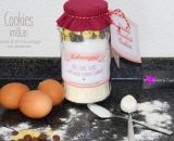 Bastelanleitung, Rezept und Druckvorlage gestaltet als PDF-E-Book und Digistamp für eine Backmischung Cookies im Glas als Geschenkidee zu jedem Anlass. Mit passenden Vorlagen für Etiketten und Anhängern.