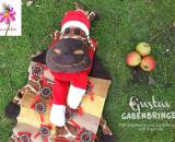 Adventskalender -Gustav Gabenbringer- (Nähanleitung und Schnittmuster von shesmile)