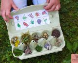 Druckvorlagen und Spielideen für ein Natur-Bingo gestaltet als PDF-E-Book von shesmile. Perfekt als Schatzsuche für den nächsten Kindergeburtstag oder als Ferien- und Freizeitprogramm für Kinder.