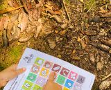 Druckvorlagen und Spielideen für ein Natur-Bingo gestaltet als PDF-E-Book von shesmile. Perfekt als Schatzsuche für den nächsten Kindergeburtstag oder als Ferien- und Freizeitprogramm für Kinder.