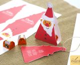 Nikolaus Santa Surprise (Digistamp, Plotterdatei und Druckvorlage für DIY-Anhänger und Aufsteller zu Weihnachten. Illustriert von shesmile)