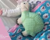 Kuscheltier oder Spieluhr -Schildkröte Selma- (Nähanleitung und Schnittmuster von shesmile)