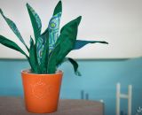 Nähanleitung und Schnittmuster gestaltet als PDF-E-Book von shesmile für Frieda Flower, die Zimmerpflanzen aus Stoff für Allergiker, das Kinderzimmer, Vielreisende, kranke und alte Menschen, schattige Plätzchen oder Pflanzendummies wie mich! Wähle au