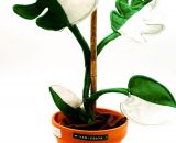 Nähanleitung und Schnittmuster gestaltet als PDF-E-Book von shesmile für Frieda Flower, die Zimmerpflanzen aus Stoff für Allergiker, das Kinderzimmer, Vielreisende, kranke und alte Menschen, schattige Plätzchen oder Pflanzendummies wie mich! Wähle au