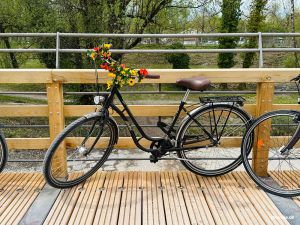Blumenfahrrad