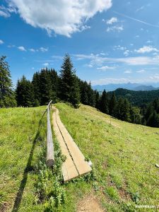 Wiesenweg zur Kappeler Alp