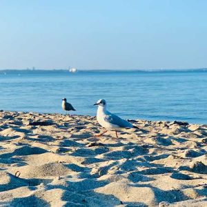Meer - Urlaub und Reisen an die schönsten Küsten
