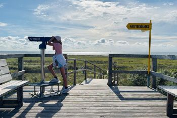 Flugplatz & Kalfamer - Wandern mit Kindern am Ostende von Juist
