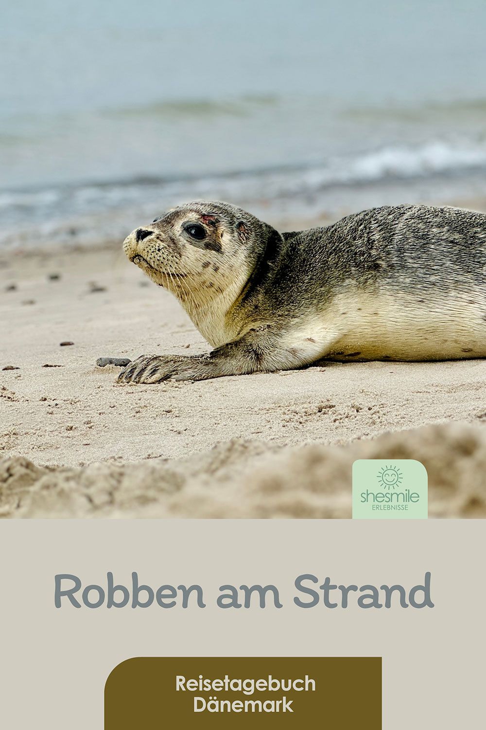 Råbjerg Mile & Grenen - Eine Reise zur nördlichsten Spitze Dänemarks