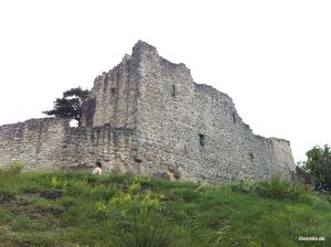 23. Juni 2011