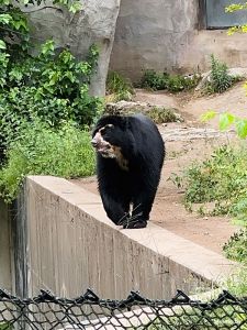 Zoo Frankfurt