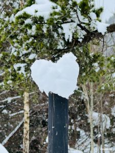 Schneeherz