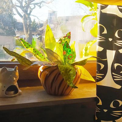 Die Sansevieria ist nur eine von 6 verschiedenen Pflanzen und ich werde garantiert noch die eine oder andere ausprobieren.