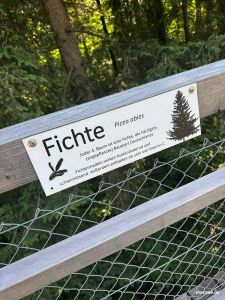 Fichtenwissen