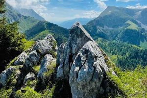 Berge - Natur erleben auf Gipfeln und Wanderwegen