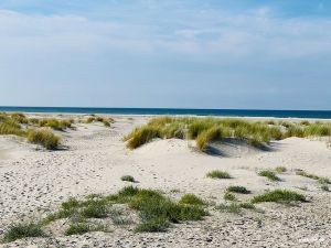 Strandaufgang Wilhelmshöhe
