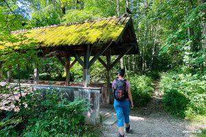 Wanderweg zur Höllschlucht