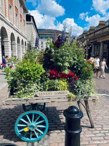 Willkommen in Covent Garden