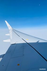 Flug MUC LHR