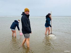 Schollenbob und seine Freunde