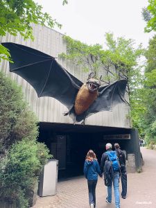 Zoo Frankfurt